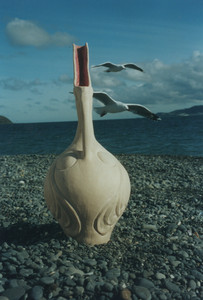 018-bird_pot_with_seagulls_by_elfnor.jpeg