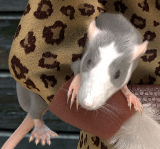 cat_with_rat_rat_crop.jpg